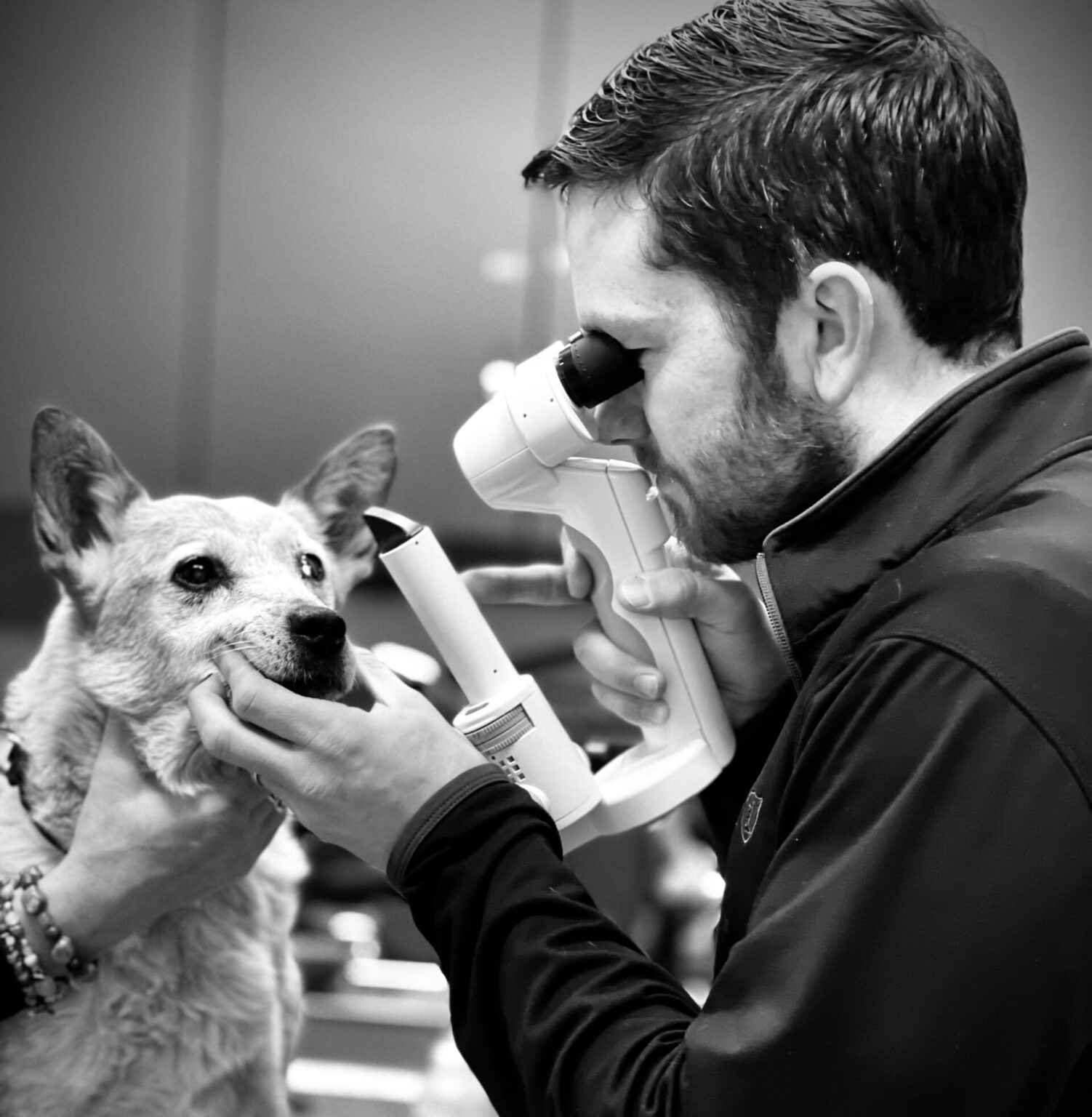 Vet Clinic In Fairbanks, AK Mt. McKinley Animal Hospital